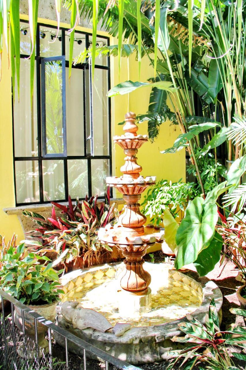 Villa Del Angel อาจิจิก ภายนอก รูปภาพ